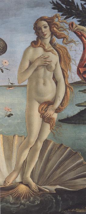 The Birth of Venus (mk36), Sandro Botticelli